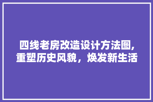 四线老房改造设计方法图,重塑历史风貌，焕发新生活力