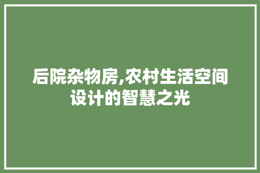 后院杂物房,农村生活空间设计的智慧之光