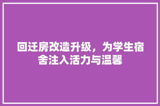 回迁房改造升级，为学生宿舍注入活力与温馨