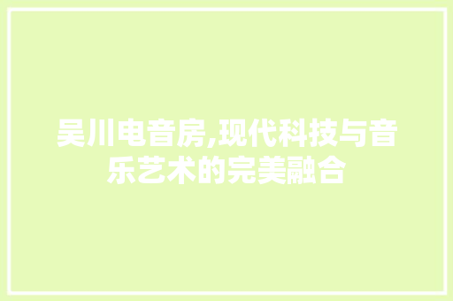 吴川电音房,现代科技与音乐艺术的完美融合