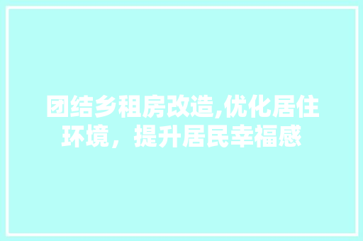 团结乡租房改造,优化居住环境，提升居民幸福感