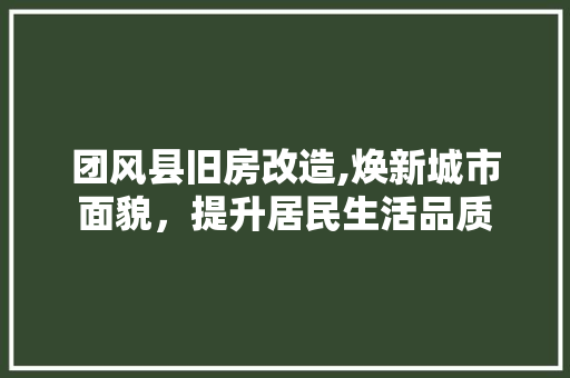 团风县旧房改造,焕新城市面貌，提升居民生活品质