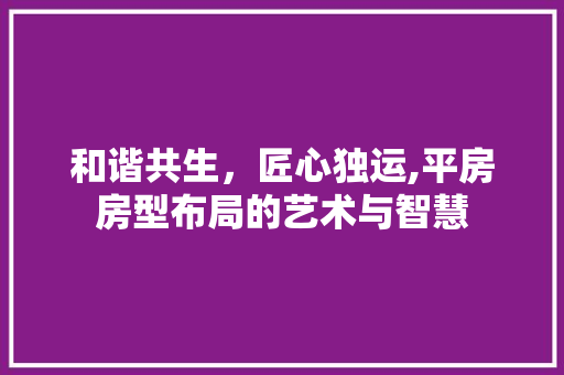 和谐共生，匠心独运,平房房型布局的艺术与智慧 地面装修