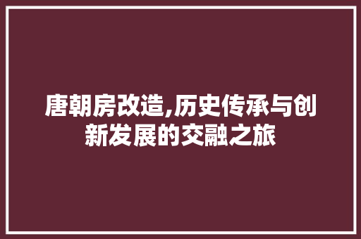 唐朝房改造,历史传承与创新发展的交融之旅