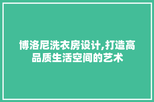 博洛尼洗衣房设计,打造高品质生活空间的艺术
