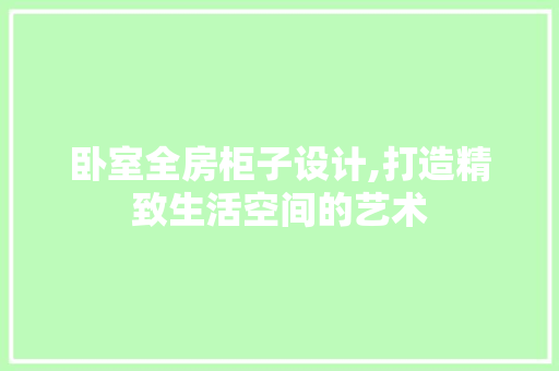卧室全房柜子设计,打造精致生活空间的艺术
