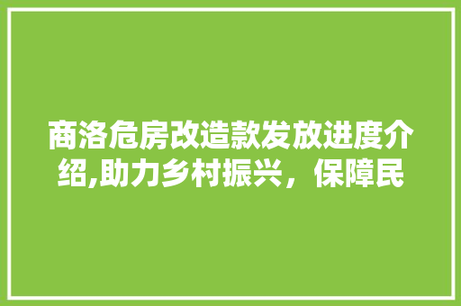 商洛危房改造款发放进度介绍,助力乡村振兴，保障民生福祉