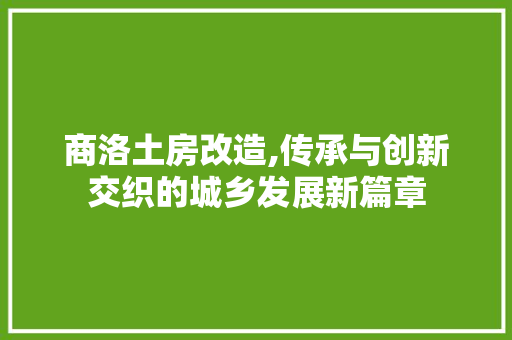 商洛土房改造,传承与创新交织的城乡发展新篇章