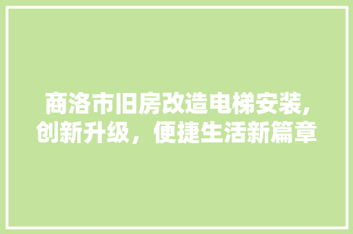 商洛市旧房改造电梯安装,创新升级，便捷生活新篇章