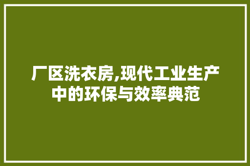 厂区洗衣房,现代工业生产中的环保与效率典范