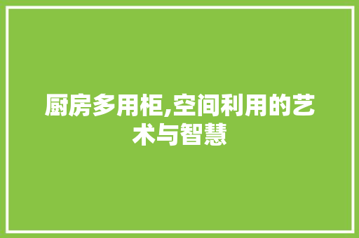 厨房多用柜,空间利用的艺术与智慧