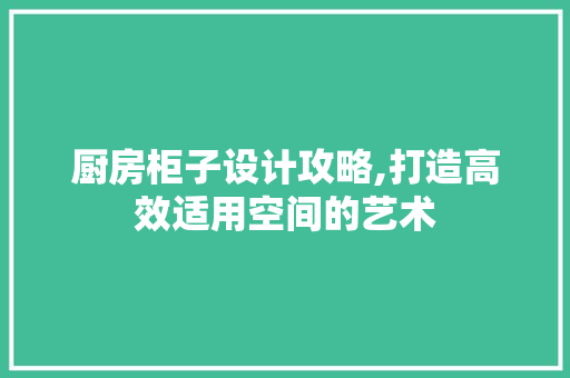 厨房柜子设计攻略,打造高效适用空间的艺术 隔断设计