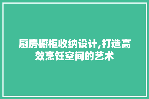 厨房橱柜收纳设计,打造高效烹饪空间的艺术 地面装修
