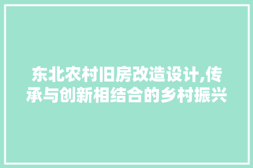 东北农村旧房改造设计,传承与创新相结合的乡村振兴之路