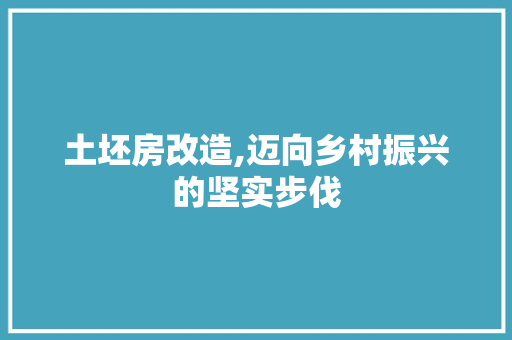 土坯房改造,迈向乡村振兴的坚实步伐