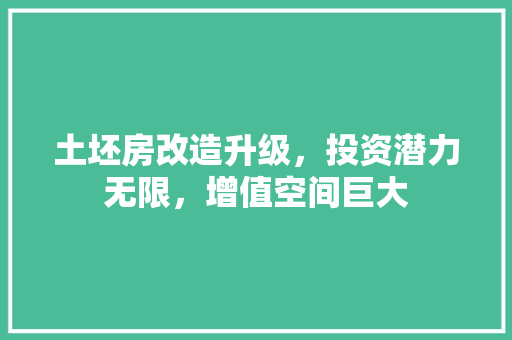 土坯房改造升级，投资潜力无限，增值空间巨大