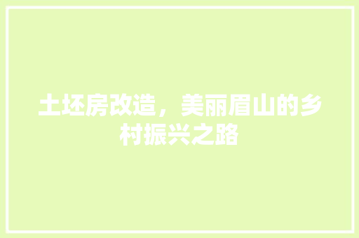 土坯房改造，美丽眉山的乡村振兴之路