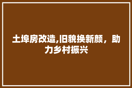 土埠房改造,旧貌换新颜，助力乡村振兴