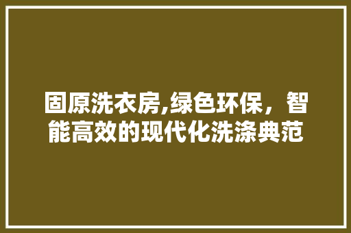 固原洗衣房,绿色环保，智能高效的现代化洗涤典范 庭院装修