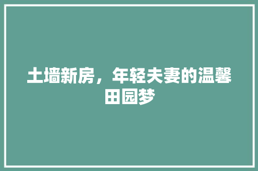 土墙新房，年轻夫妻的温馨田园梦
