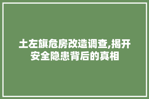 土左旗危房改造调查,揭开安全隐患背后的真相