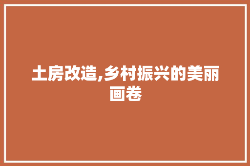 土房改造,乡村振兴的美丽画卷