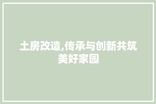 土房改造,传承与创新共筑美好家园