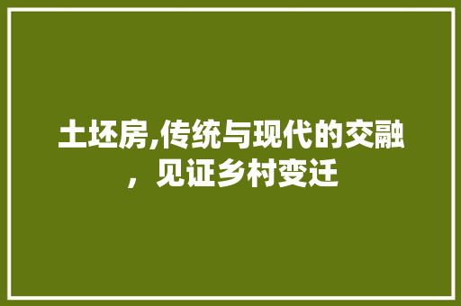 土坯房,传统与现代的交融，见证乡村变迁