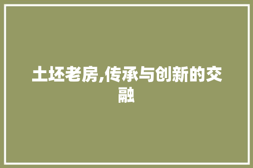 土坯老房,传承与创新的交融