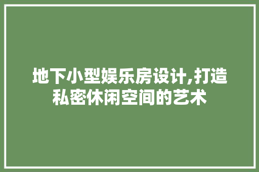 地下小型娱乐房设计,打造私密休闲空间的艺术