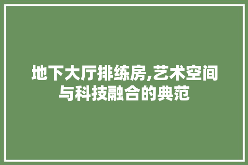 地下大厅排练房,艺术空间与科技融合的典范