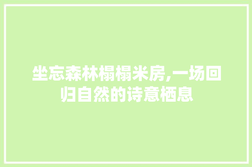 坐忘森林榻榻米房,一场回归自然的诗意栖息