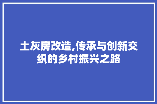 土灰房改造,传承与创新交织的乡村振兴之路
