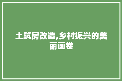 土筑房改造,乡村振兴的美丽画卷
