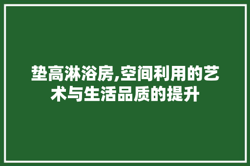 垫高淋浴房,空间利用的艺术与生活品质的提升
