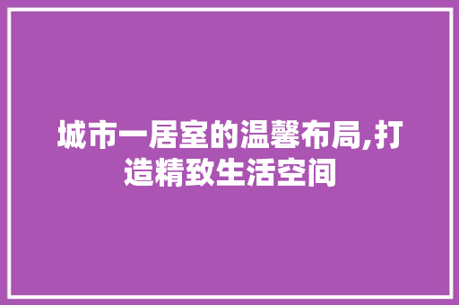 城市一居室的温馨布局,打造精致生活空间