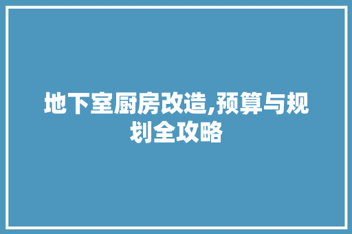 地下室厨房改造,预算与规划全攻略