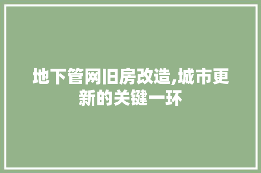 地下管网旧房改造,城市更新的关键一环
