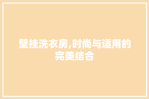 壁挂洗衣房,时尚与适用的完美结合