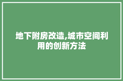 地下附房改造,城市空间利用的创新方法