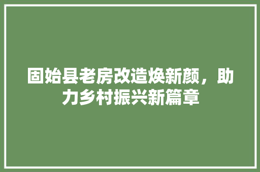 固始县老房改造焕新颜，助力乡村振兴新篇章