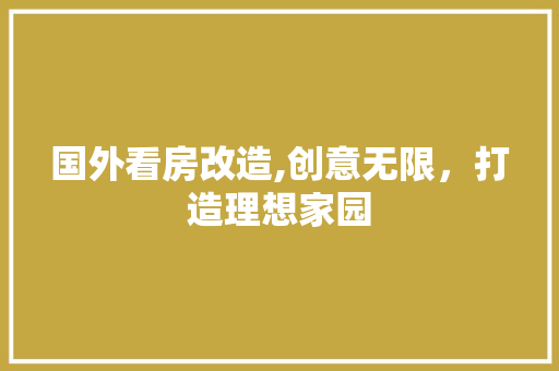 国外看房改造,创意无限，打造理想家园