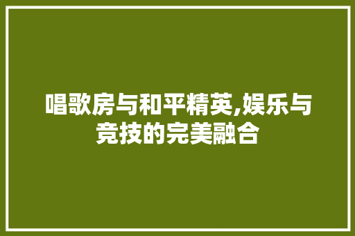 唱歌房与和平精英,娱乐与竞技的完美融合
