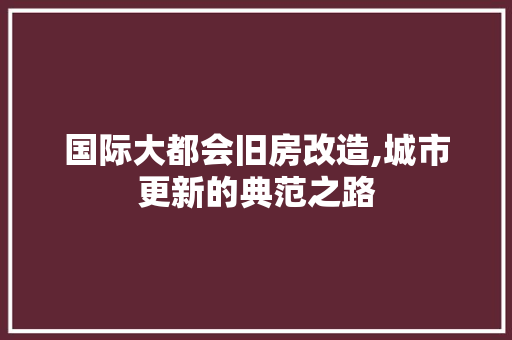 国际大都会旧房改造,城市更新的典范之路
