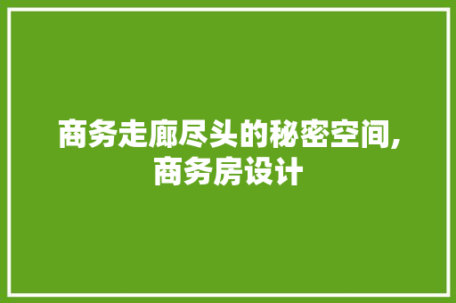 商务走廊尽头的秘密空间,商务房设计