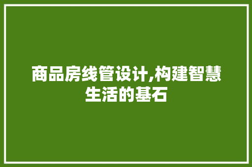 商品房线管设计,构建智慧生活的基石