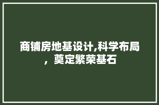 商铺房地基设计,科学布局，奠定繁荣基石 墙面装饰