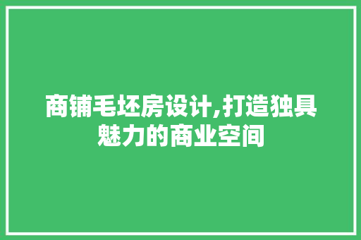 商铺毛坯房设计,打造独具魅力的商业空间 墙面装饰