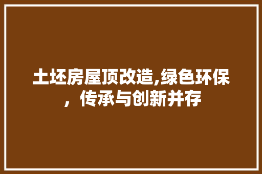 土坯房屋顶改造,绿色环保，传承与创新并存