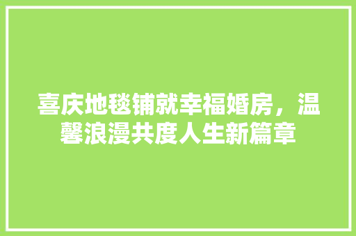 喜庆地毯铺就幸福婚房，温馨浪漫共度人生新篇章 装修材料